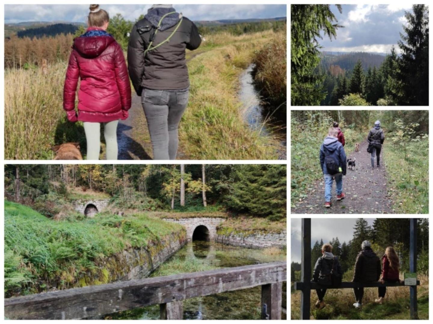 Naturliebeharz Altenau  Esterno foto