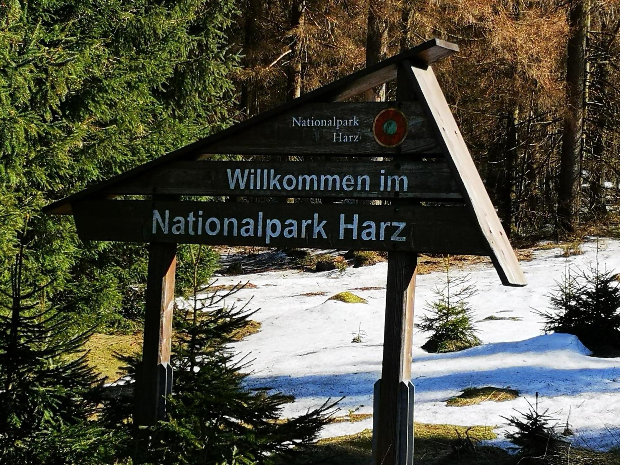Naturliebeharz Altenau  Esterno foto